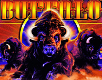 Buffalo