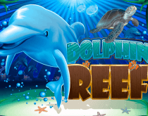 Dolphin Reef