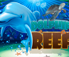 Dolphin Reef