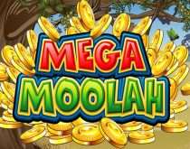 Mega Moolah