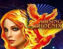 Arising Phoenix