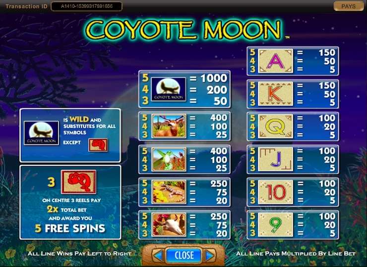 coyote-moon-1