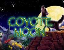 Coyote Moon