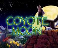 Coyote Moon