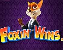 Foxin Wins