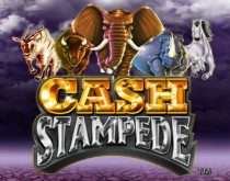 Cash Stampede