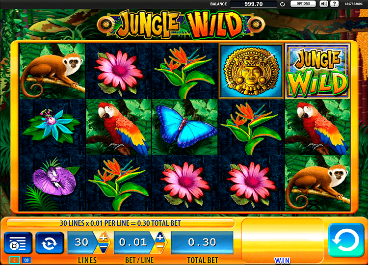 jungle-wild
