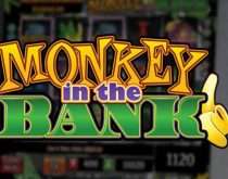 Monkey In The Bank