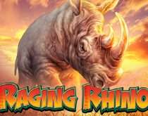 Raging Rhino