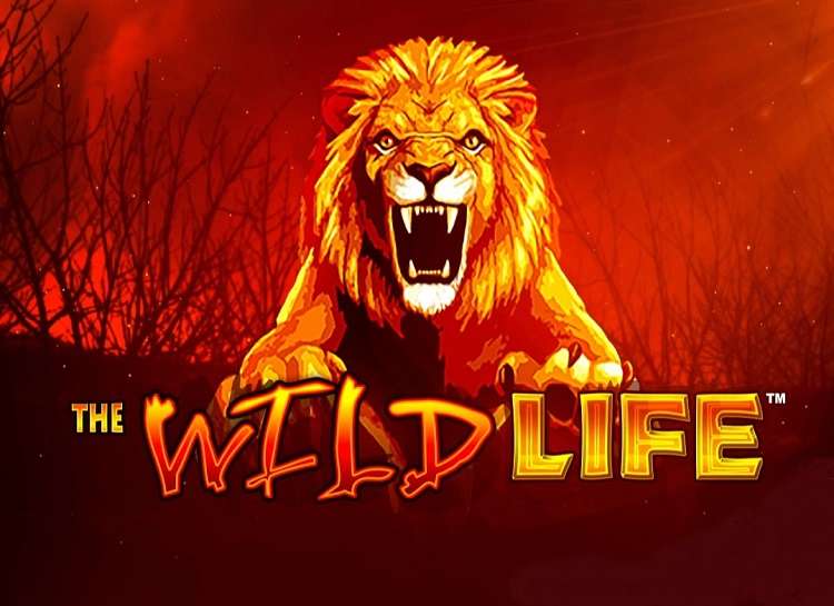 The Wild Life