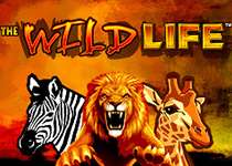 Video Slot The Wild Life