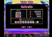  Twin Win Videospielautomaten