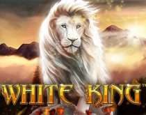 White King